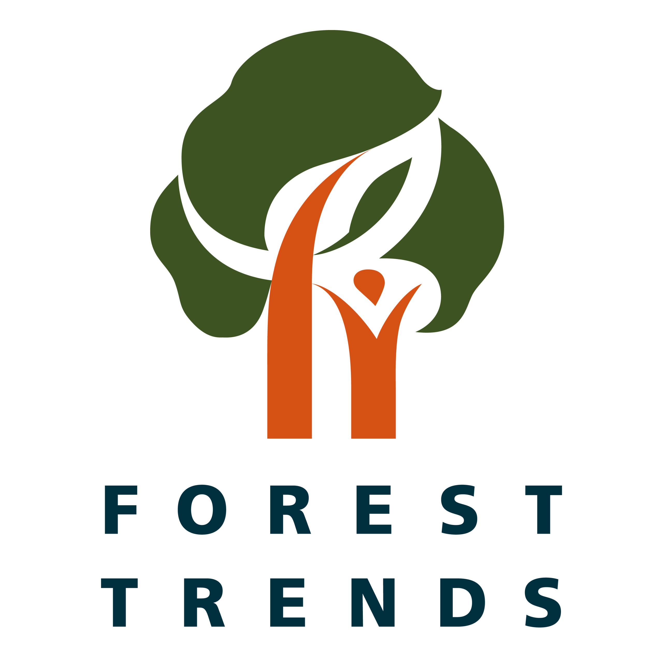 Forest Trends